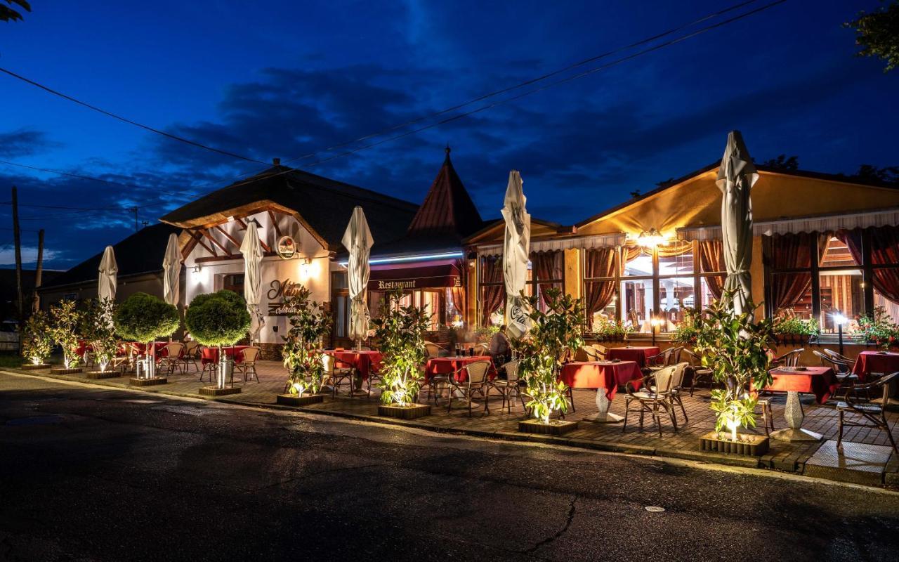 Penzion Helene Hotel Veľký Meder Buitenkant foto